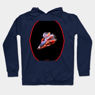 fish, cute fish, fish colorful, fish coral, beatiful fish Hoodie